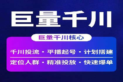 大型企业SEM外包实战案例
